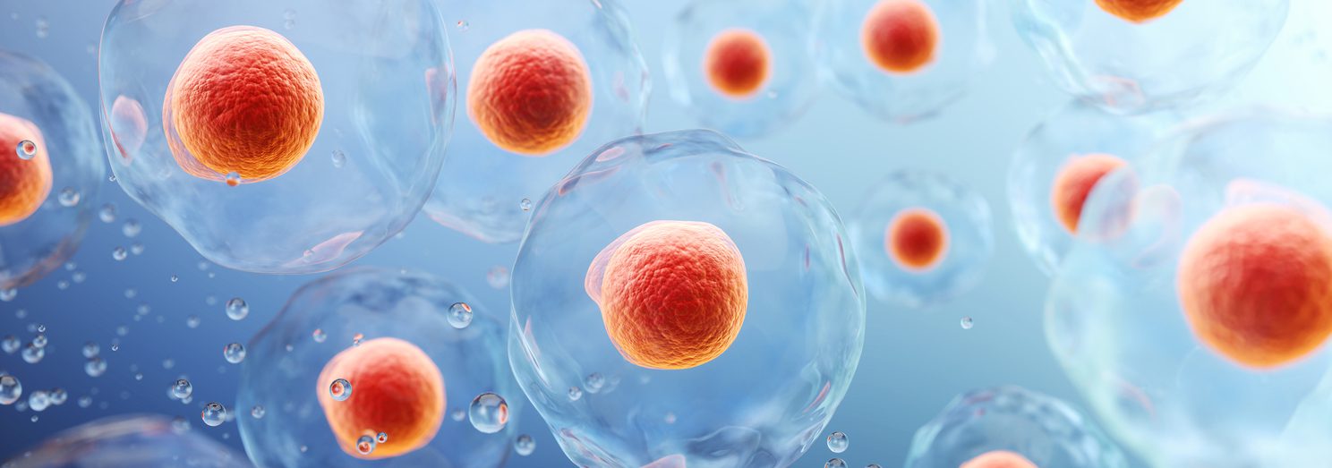 3d rendering of Human cell or Embryonic stem cell microscope background.